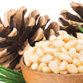 Are all pine nuts edible?