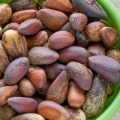Are there any pine nuts grown in the usa?