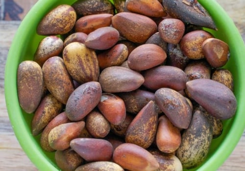 Are there any pine nuts grown in the usa?