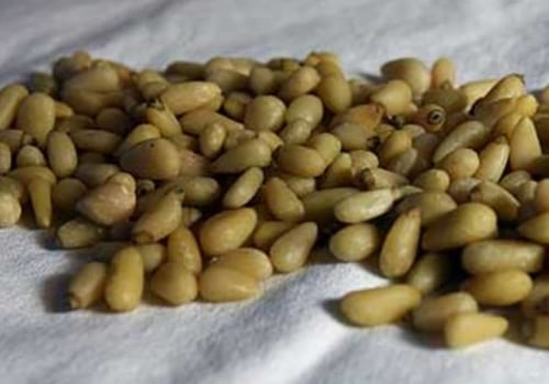 Why have pine nuts gotten so expensive?