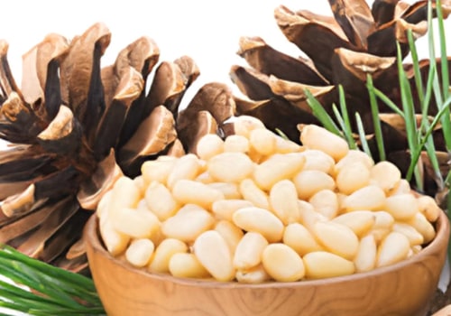 What is pine nut called in india?