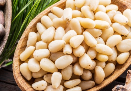 When are pine nuts ready to harvest?